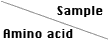 Amino acid