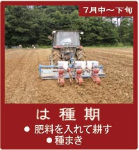 7�����{���u�͎���v