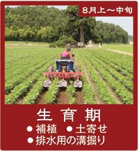 8����{����́u������v