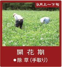 9����{����́u�J�Ԋ��v-�����͎���