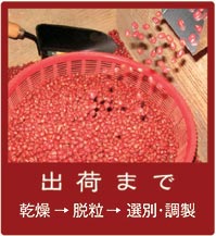 �����E�E���E�I�ʁE�������āA�o�ׂ�