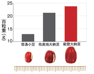 �F�A���A�����������ł�